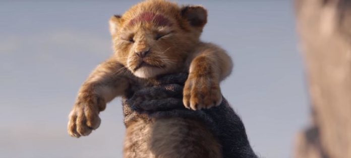 king_lion