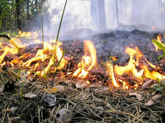 fire
