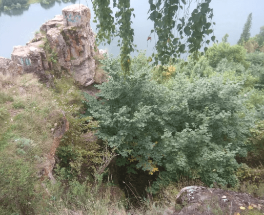 Screenshot_23