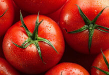 Помидоры, сорта