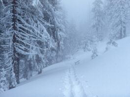 Жуткие морозы и аномальные снегопады: синоптик дал прогноз погоды на конец февраля