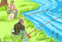 Только люди с внимательностью 80 уровня смогут найти ошибки за 30 секунд: справляются далеко не все