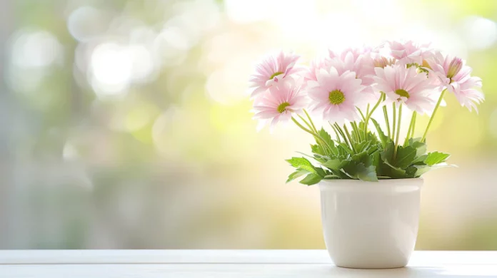 flower-pot-ai-generated_268835-11237