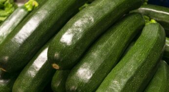 Все кабачки уходят на этот соус: вкуснее любых магазинных — готовлю на зиму с запасом