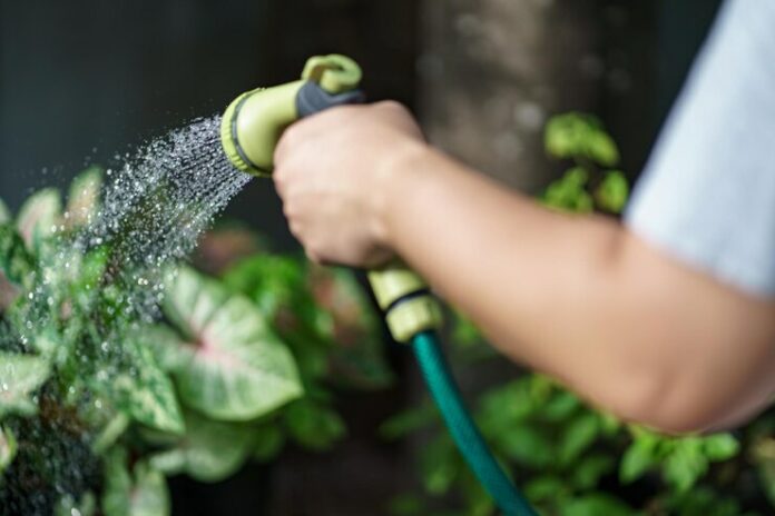 man-watering-plants-his-garden-urban-gardening-watering-fresh-vegetables-nature-plants-care-concept_1715-26612