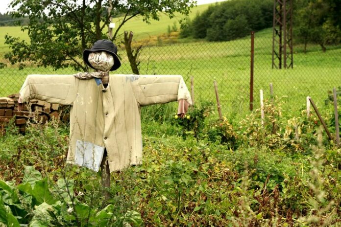 scarecrow-farm_1048944-15046396