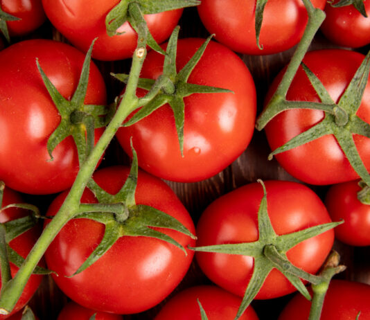 Эти сорта томатов хранятся бесконечно: лежат по полгода и в ус не дуют — дачники открывают охоту за семенами