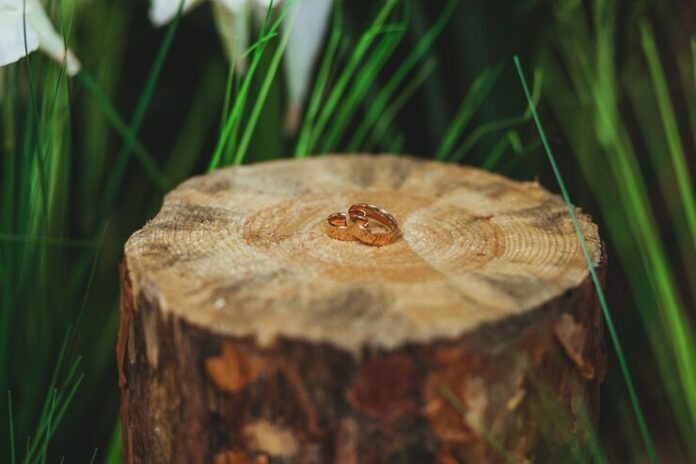 wedding-golden-rings-stump-green-grass_8353-6082