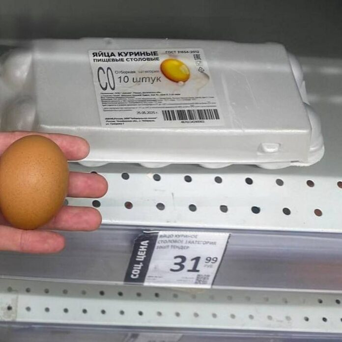 egg