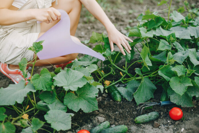 Beautiful woman works in a garden near the house