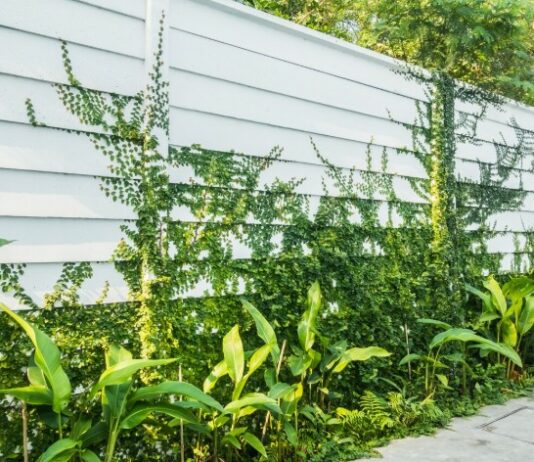 Эта копеечная масса спасет металлический забор от коррозии: защита на 50 лет — опыт профессионалов