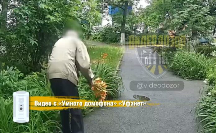 Снимок экрана 2025-06-25 102314