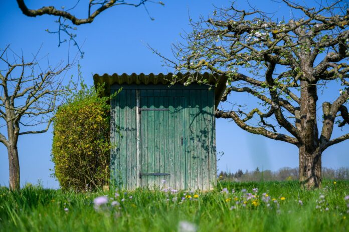 Beautiful shot of an outdoor toilet surrounded by amazing trees and a green field