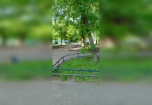 В Уфе вместо хоккейной коробки установили помойку