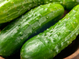 4 ложки на 10 литров воды — огурцы растут как на дрожжах до самой осени: урожай идет ведрами