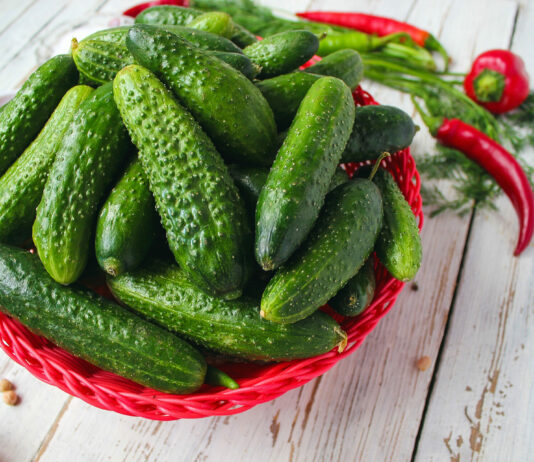 Огуречные рекордсмены: три гибрида дают максимальный урожай — не требуют ухода