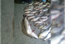 В Башкирии сотрудники ГАИ выявили незаконную ловлю рыбы сетями