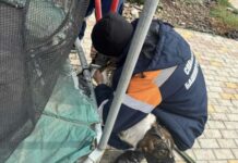 В Уфе собака оказалась в плену батута