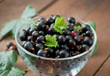 2 ложки на литр: И смородина под надёжной защитой — от тли, гусениц, долгоносика и листоеда