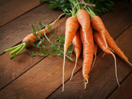 Опытный агроном назвал лучшие сорта моркови: дачники скупают уже весной и потом не найти