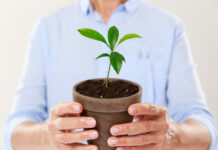 10 г чудо-порошка на 1 литр: Корни пустит даже старая метла — самый простой доступный укоренитель с кухни