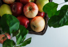 Самые живучие и зимостойкие: 2 сорта яблонь для отличного урожая — агрономы рекомендуют к посадке