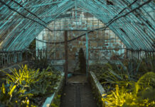 200 г на 10 литров в теплицу в ноябре: Хрущи, медведка и другая «нечисть» горят в аду