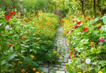 Только под зиму: Цветы так сажаем из года в год — 4 важные причины от опытного дачника