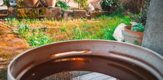 Просто берём палку: И бочку с водой не разорвёт даже в самые лютые морозы — дачный лайфхак