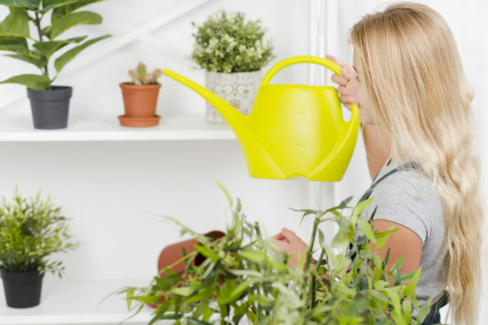 цветы полив