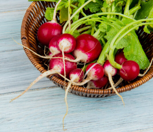 Самый ранний урожай редиса: Всего 1 действие — и плоды рвём на 2 недели раньше срока