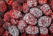 Замораживаем ягоды на зиму брикетами: Больше никаких безразмерных пакетов в морозилке — очень удобно