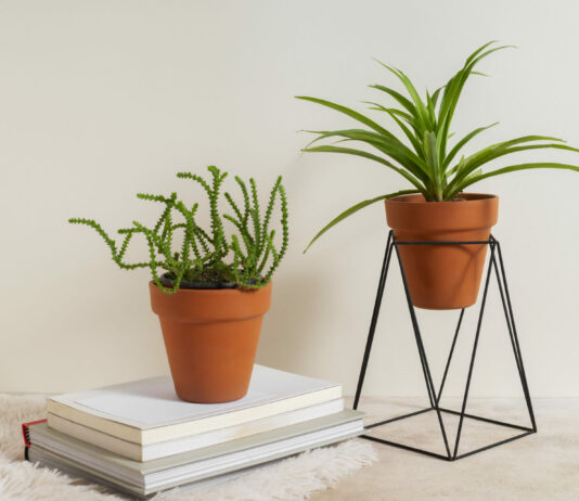 Умные цветоводы лепят скотч на цветочный горшок — и неистово балдеют: Вот зачем это надо