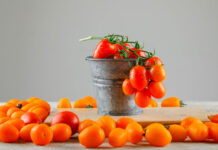 Горсть семян в горшок: Едим сладкие сочные томаты уже зимой — 3 сорта для домашнего выращивания