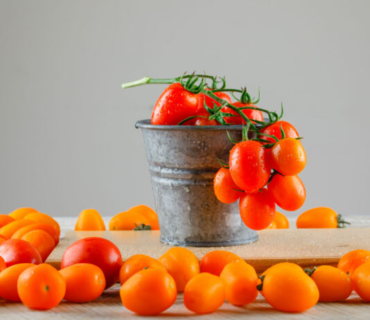 Горсть семян в горшок: Едим сладкие сочные томаты уже зимой — 3 сорта для домашнего выращивания