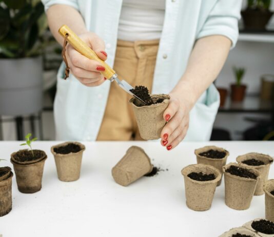 Сажаем 1 куст, а получаем настоящее сокровище, усеянное синими колокольчиками — многолетняя красота на вашем участке