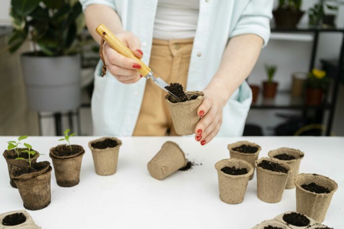 семена цветы