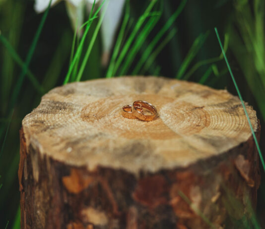 Пни на участке не выкорчёвываем, они — дороже всего на свете: Вот что с ними делаем