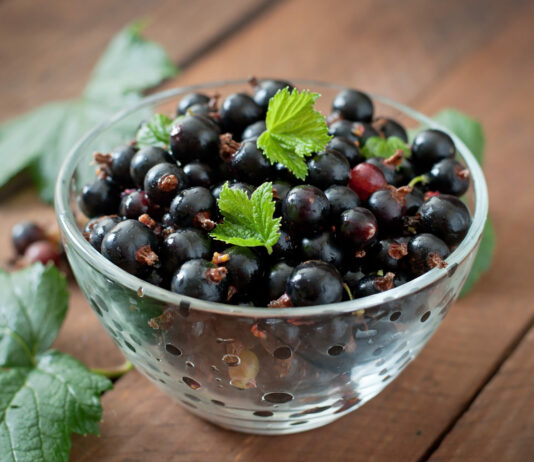 2 литра под каждый куст: Ягод смородины будет немерено — и крупные, как вишня