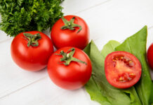 Классные томаты длительного хранения: 3 сорта рекомендует агроном