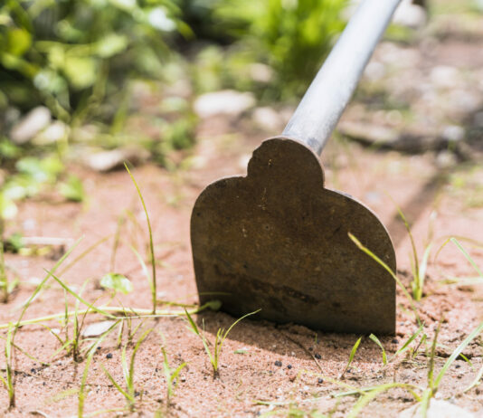 Старые тяпки и лопаты — на сутки в ведро: Ржавчины как не бывало