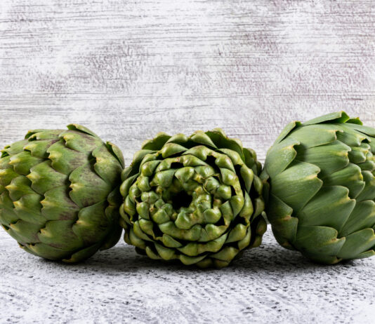 Выращиваем артишок на даче: деликатес станет украшением участка — успеха можно добиться и в средней полосе