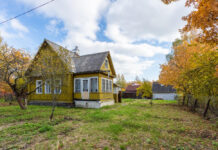 5 главных мифов о зеленом удобрении из травы: этот рецепт заменяет тонну навоза — разбор от опытного агронома