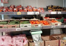 В Уфе этим летом заметно снизились цены на три главных сезонных продукта