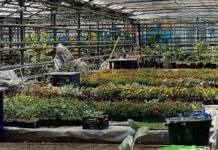 Оптовая торговля в Башкирии по итогам первого полугодия выросла на 13,4%