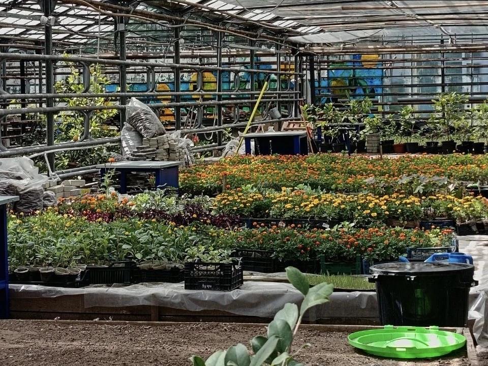 Оптовая торговля в Башкирии по итогам первого полугодия выросла на 13,4%