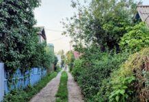 В селе Башкирии введены ограничения из-за бешенства животных