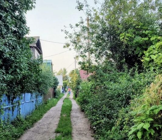 Продать дачу стало сложнее: все о переменах в загородной жизни садоводов