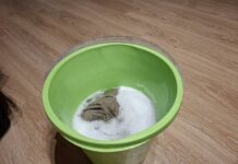 Отправляю в ведро пару капель — и кухня пахнет чистотой: 6 проверенных добавок для мытья полов