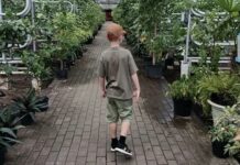 Родителям башкирских школьников рассказали, как подать заявление на льготный проезд